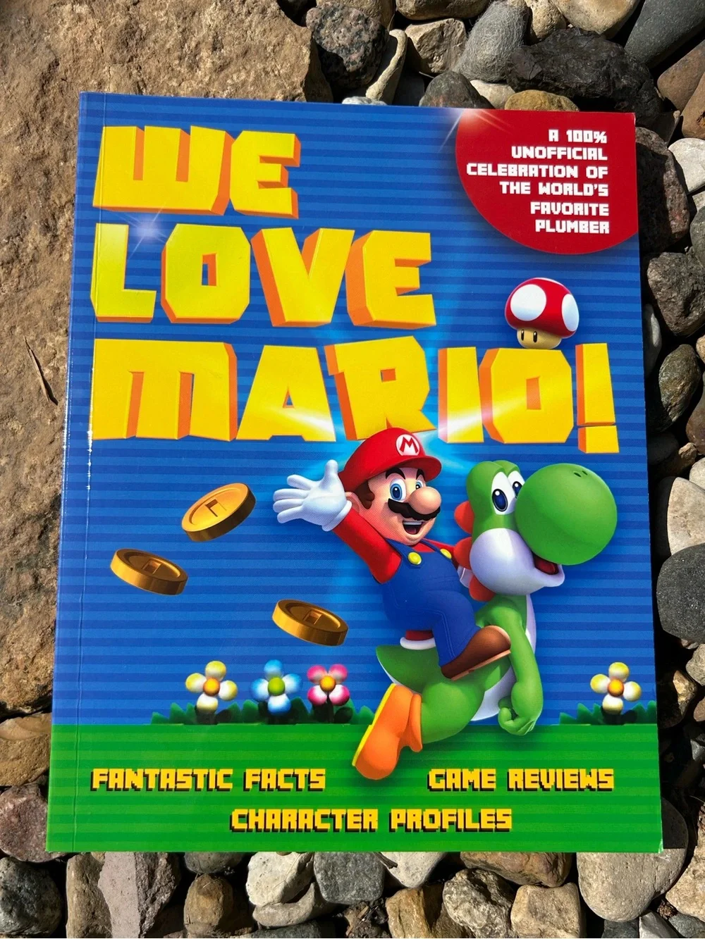 Nintendo we love